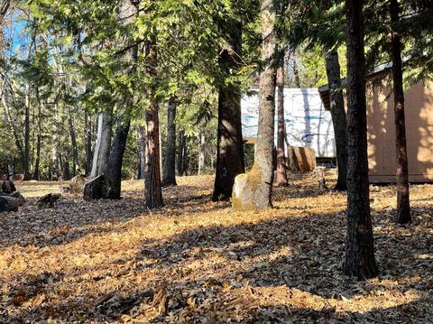 20655 Cedar View Dr, Foresthill, CA 95631 photo 3