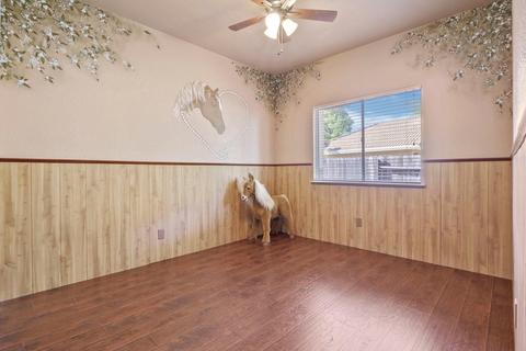 935 Ranch Rd, Galt, CA 95632 photo 22