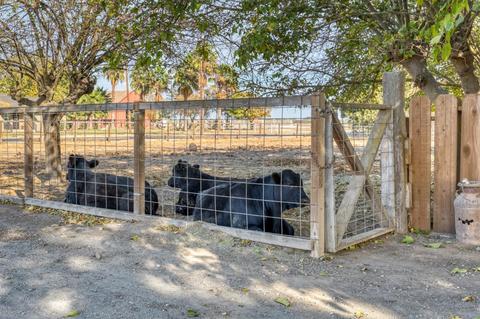 23857 River Rd, Stevinson, CA 95374 photo 4