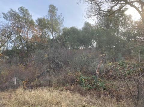 85 Shopping Dr, Jackson, CA 95642 photo 2
