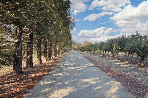 10039 E Highway 12, Lodi, CA 95240 photo 4
