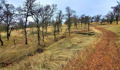 990 Reeds Tpke, Copperopolis, CA 95228 photo 31