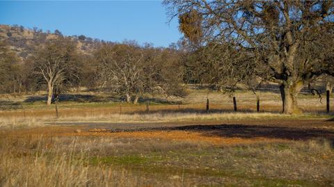 990 Reeds Tpke, Copperopolis, CA 95228 photo 17