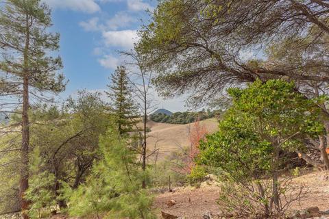 17924 Bosse Rd, Jackson, CA 95642 photo 61