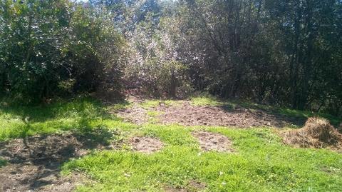 3124 Saddlehill Rd, Placerville, CA 95667 photo 4