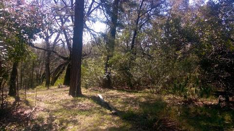 3124 Saddlehill Rd, Placerville, CA 95667 photo 5