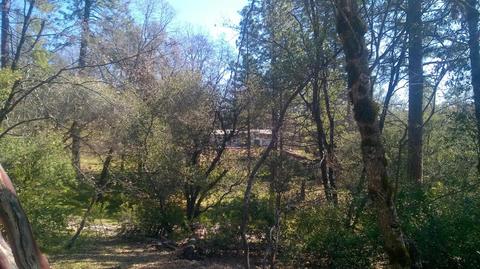 3124 Saddlehill Rd, Placerville, CA 95667 photo 28