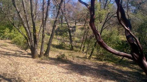 3124 Saddlehill Rd, Placerville, CA 95667 photo 27