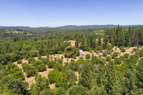 1000 Stanley Rd, West Point, CA 95255 photo 31