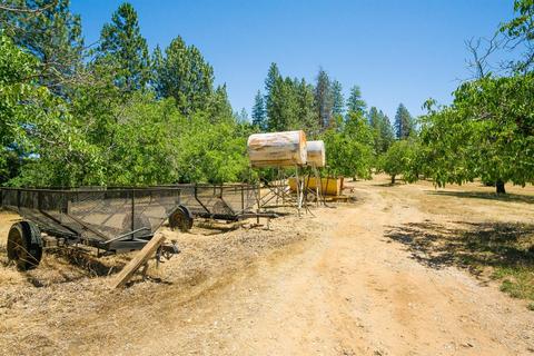 1000 Stanley Rd, West Point, CA 95255 photo 38