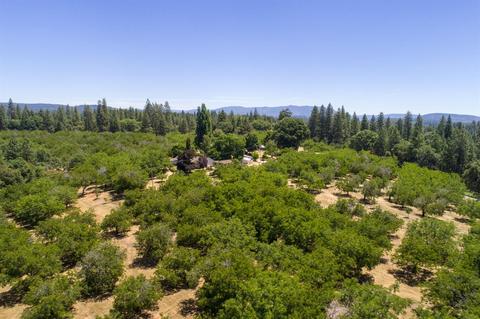 1000 Stanley Rd, West Point, CA 95255 photo 28