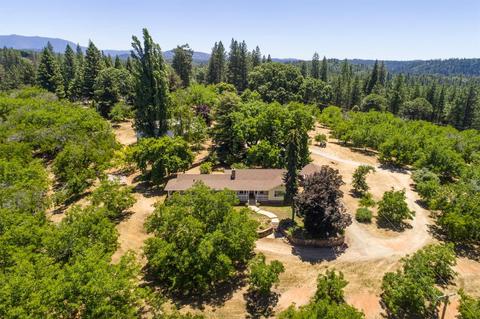 1000 Stanley Rd, West Point, CA 95255 photo 29