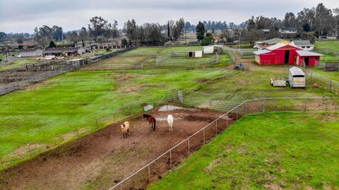 14133 E Collier Rd, Acampo, CA 95220 photo 42