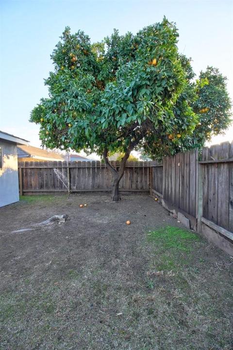 1825 Rose Ave, Modesto, CA 95355 photo 59