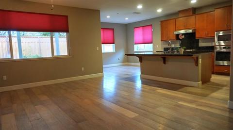 509 S Thrasher, Tracy, CA 95376 photo 8