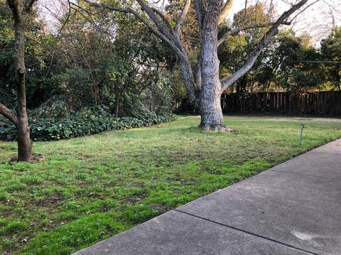 4632 Jan Dr, Carmichael, CA 95608 photo 4