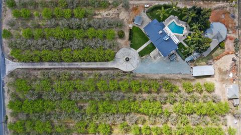 19195 Dahlin, Escalon, CA 95320 photo 44