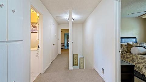 19195 Dahlin, Escalon, CA 95320 photo 31