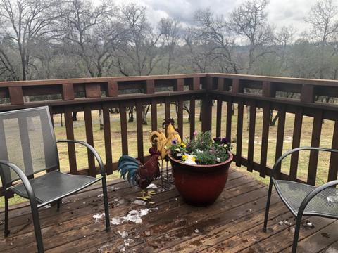 9577 Sheep Ranch Rd, Mountain Ranch, CA 95246 photo 38