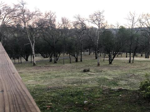 9577 Sheep Ranch Rd, Mountain Ranch, CA 95246 photo 33