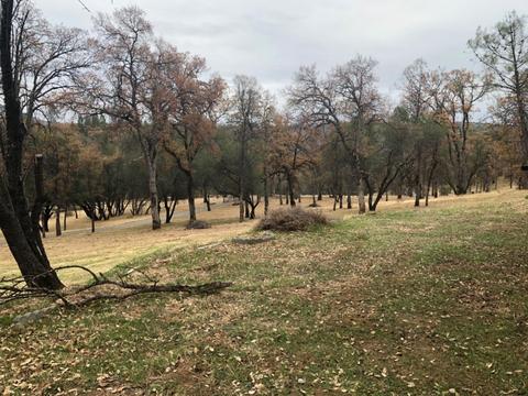9577 Sheep Ranch Rd, Mountain Ranch, CA 95246 photo 4