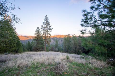 1779 Cherokee Ct, Cool, CA 95614 photo 41