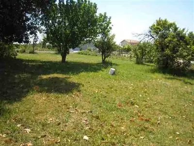457 Turner Ave, Gridley, CA 95948 photo 6