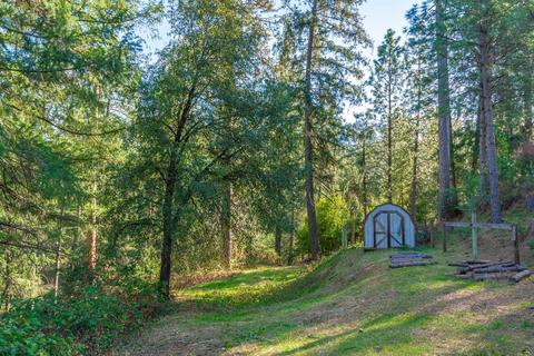 900 Mariposite Ln, Placerville, CA 95667 photo 52