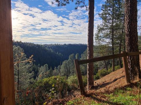 900 Mariposite Ln, Placerville, CA 95667 photo 67