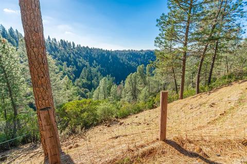 900 Mariposite Ln, Placerville, CA 95667 photo 60