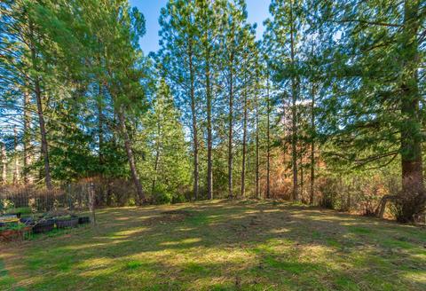 900 Mariposite Ln, Placerville, CA 95667 photo 55