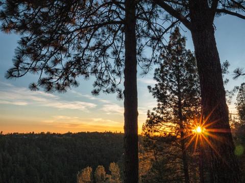 900 Mariposite Ln, Placerville, CA 95667 photo 69