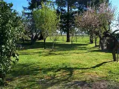 131 Chatfield Ave, Biggs, CA 95917 photo 7