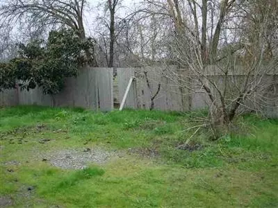2368 Walnut Dr, Live Oak, CA 95953 photo 10
