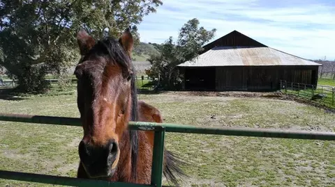 9327 Pass Road Rd, Sutter, CA 95982 photo 3