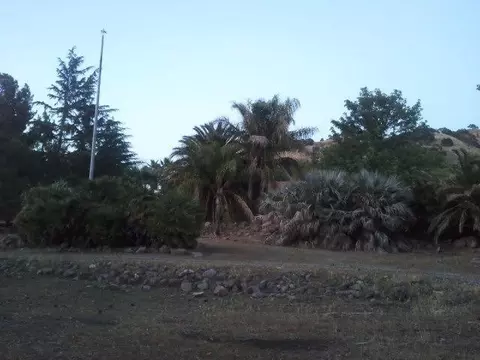 4521 Kellogg Rd, Sutter, CA 95982 photo 13