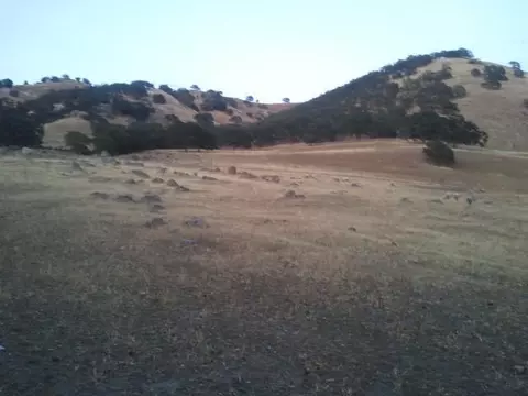 4521 Kellogg Rd, Sutter, CA 95982 photo 9