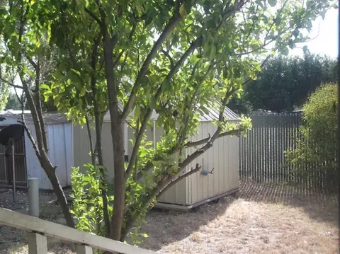 4194 George #7, Olivehurst, CA 95961 photo 15