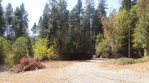 11867 Moran Rd, Challenge, CA 95925 photo 12