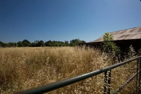 169 Pryde Ave, Biggs, CA 95917 photo 13
