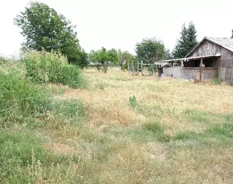 44 Pryde Ave, Biggs, CA 95917 photo 10