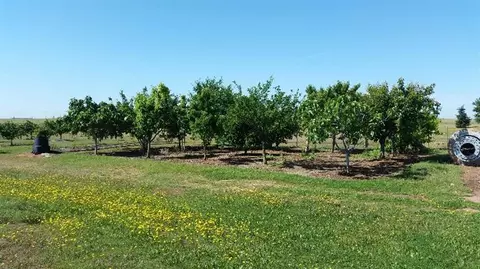6850 Eric Ln, Wheatland, CA 95692 photo 15