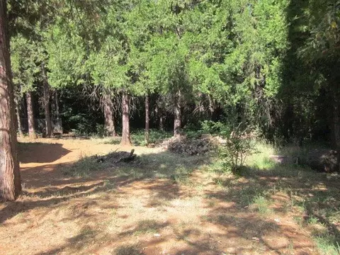 10166 La Porte Rd, Challenge, CA 95925 photo 25