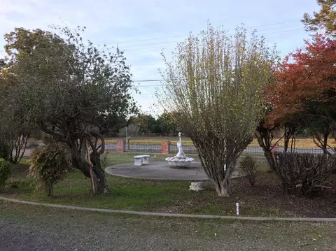 4332 Pennington Rd, Live Oak, CA 95953 photo 21