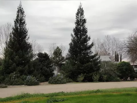 10320 O St, Live Oak, CA 95953 photo 2