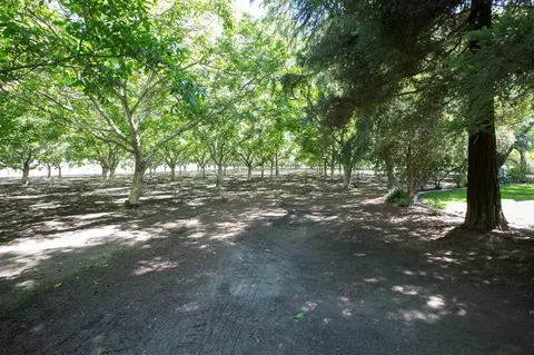 8700 S Butte Rd, Sutter, CA 95982 photo 23