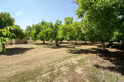 5480 Larkin Rd, Live Oak, CA 95953 photo 22