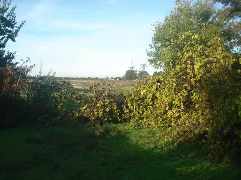 3065 Pennington Rd, Live Oak, CA 95953 photo 25
