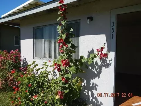 351 Tenth, Williams, CA 95987 photo 2