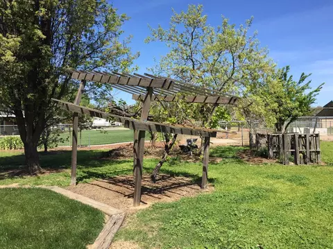 2470 George Rd, Williams, CA 95987 photo 8